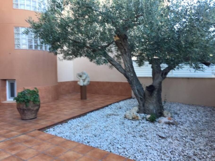 Ferienwohnung Preciosas Vistas Al Mar Y Montana En La Ampolla L'Ampolla Exterior foto